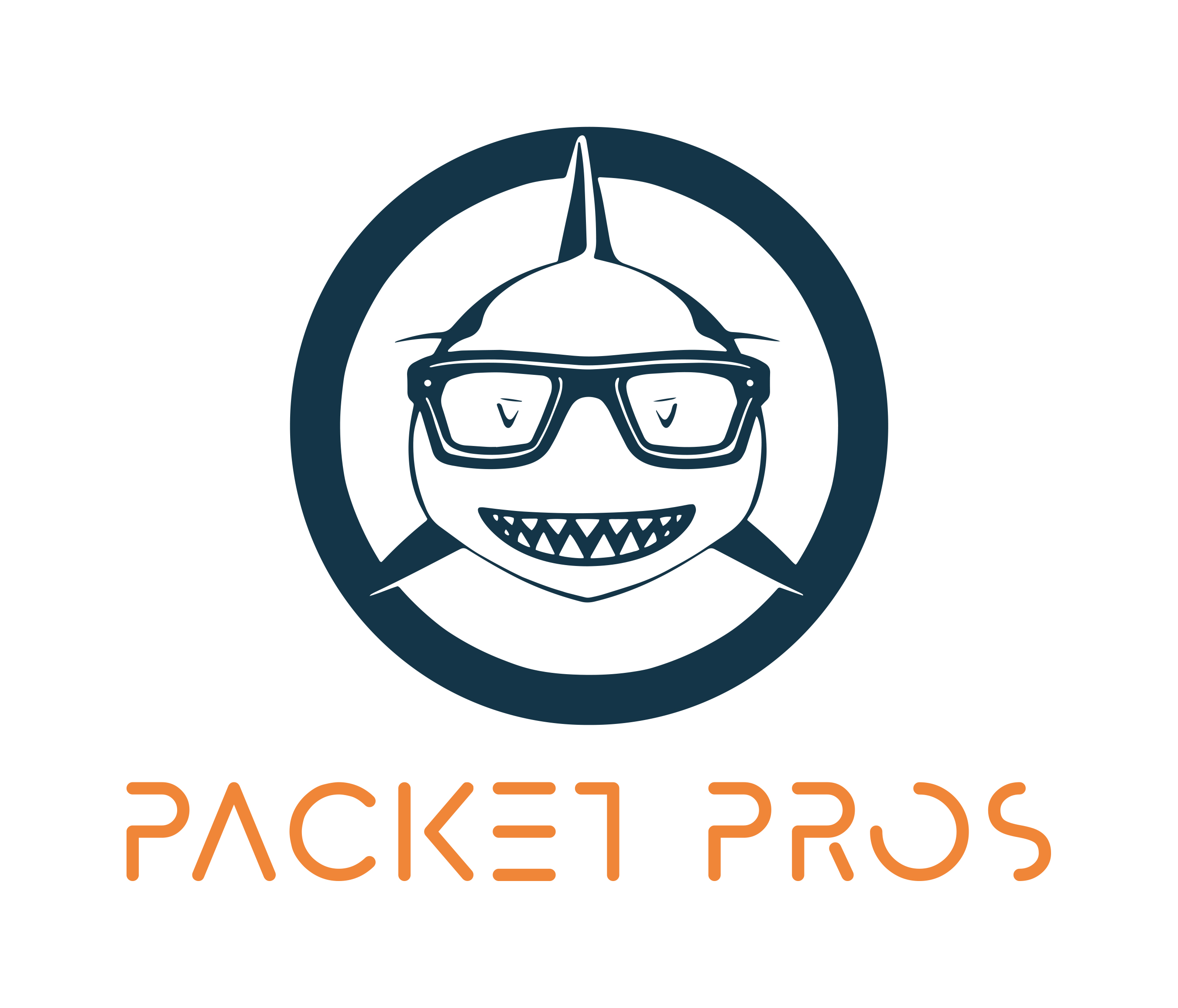 Packet Pros